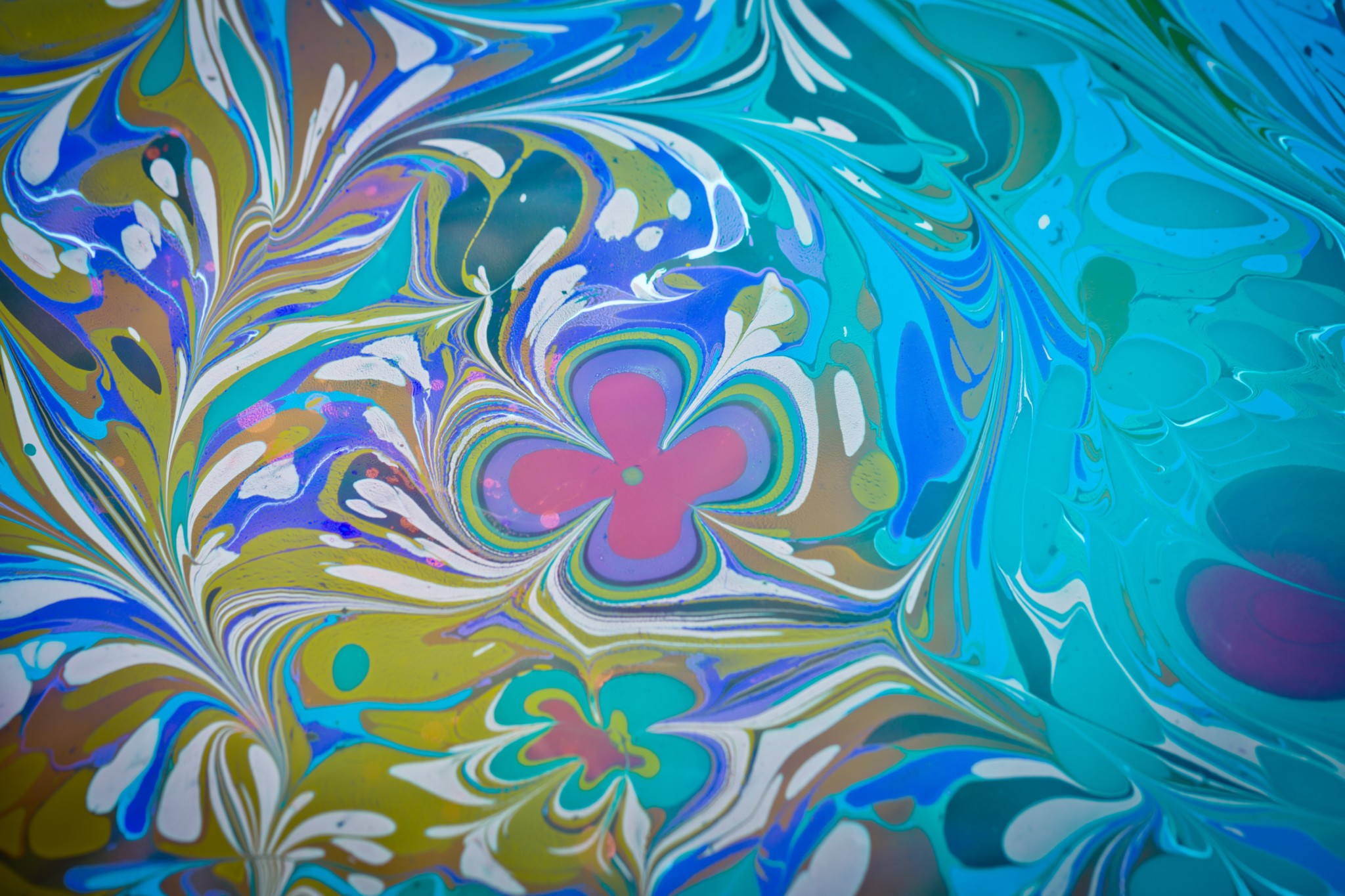 Formalités avant de danser ! Cendrillon